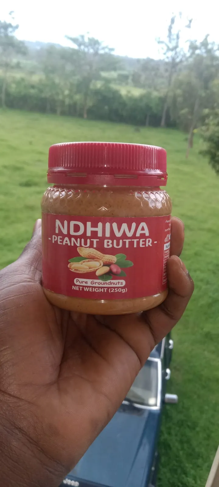 A hand holding a jar labelled Ndhiwa Peanut Butter, pure groundnuts, 250g, in front of open farmland