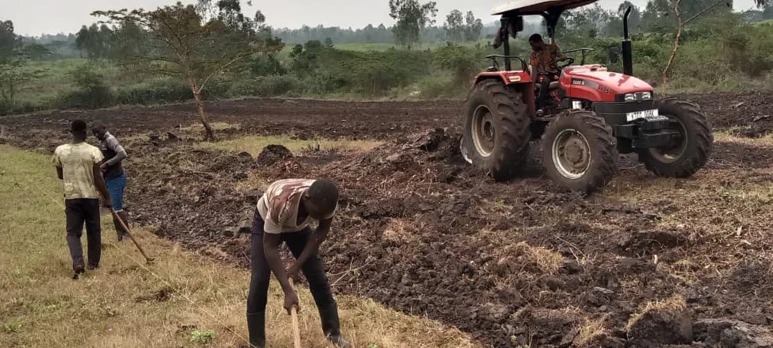 A red tractor standing on freshly ploughed ground while three workers open the headland with hoes