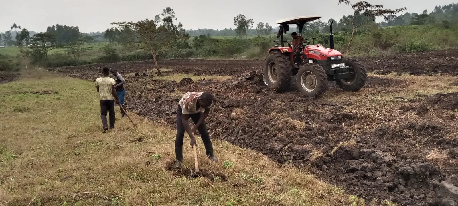 A tractor ploughing while two people shape the headland with hoes