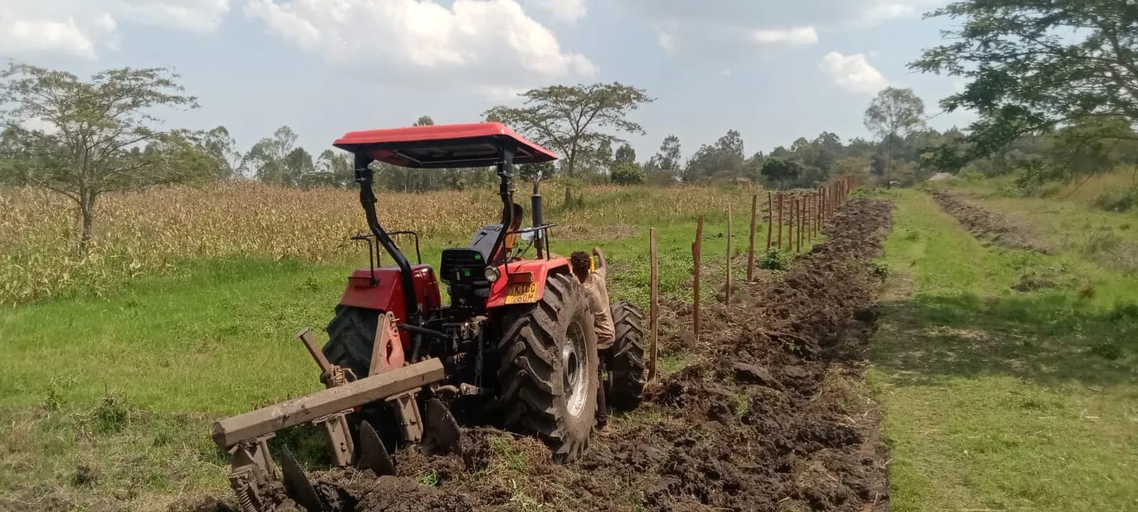 A tractor with a mounted plough parked at the edge of a fenced field beside maize